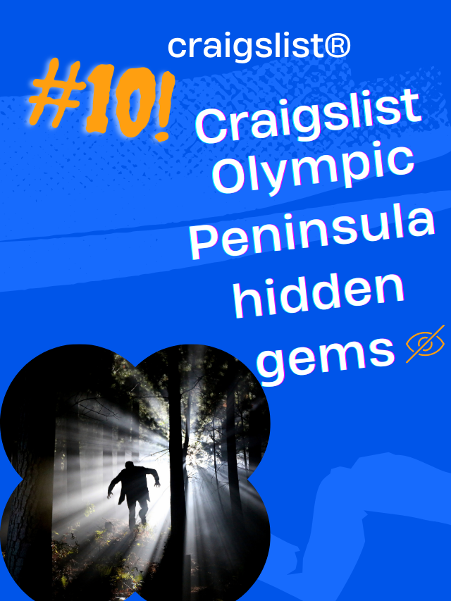 Top 10 Hidden Wonders of Craigslist  You Never Knew About